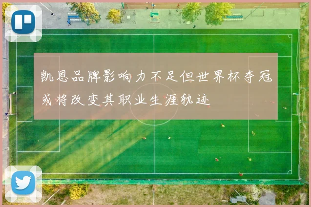 凯恩品牌影响力不足但世界杯夺冠或将改变其职业生涯轨迹