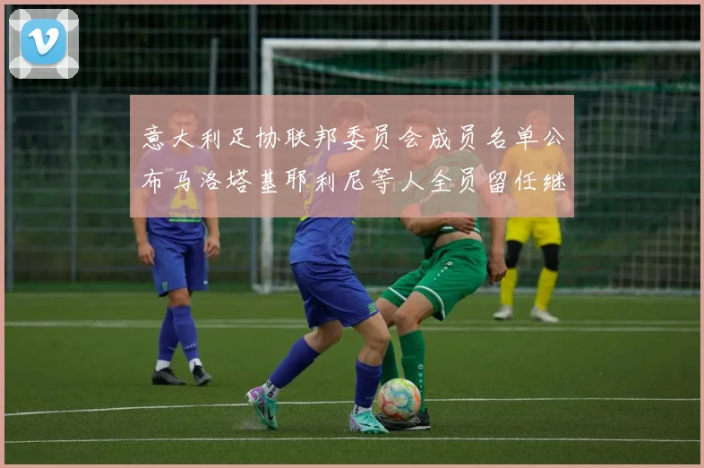 意大利足协联邦委员会成员名单公布马洛塔基耶利尼等人全员留任继续服务