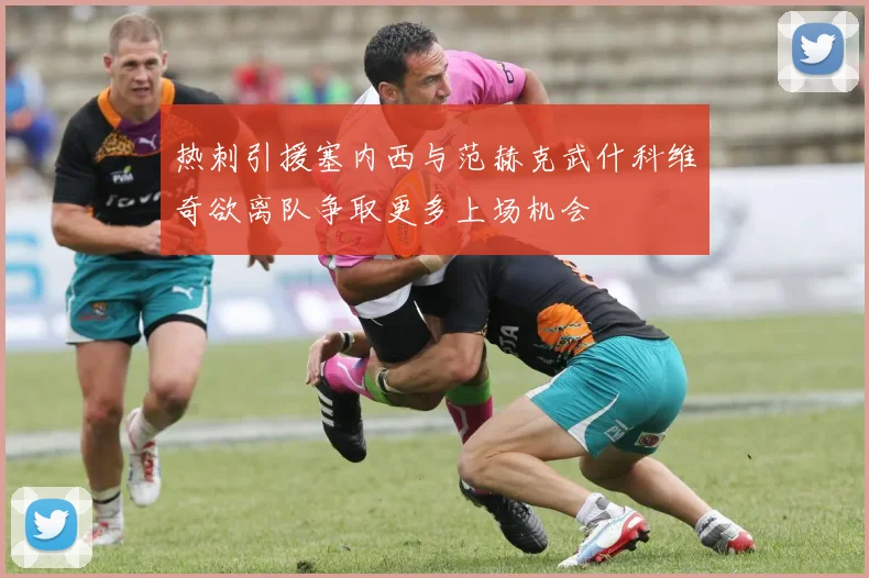 热刺引援塞内西与范赫克武什科维奇欲离队争取更多上场机会