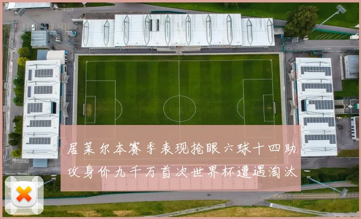 居莱尔本赛季表现抢眼六球十四助攻身价九千万首次世界杯遭遇淘汰